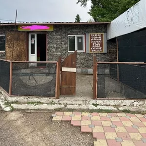 Cafe,  bar,  restaurant