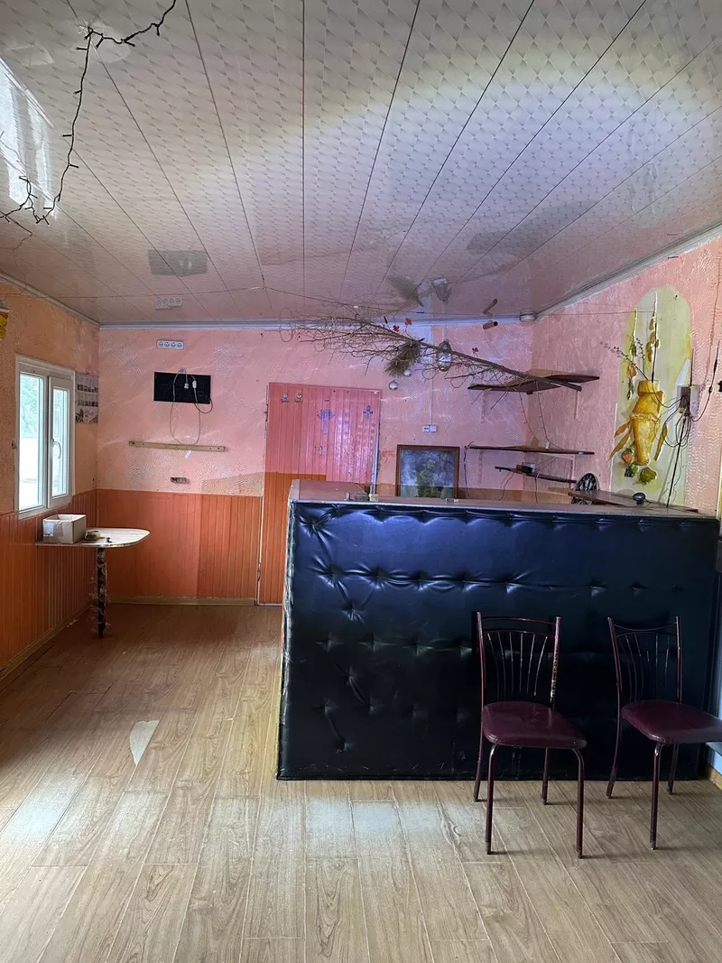Cafe,  bar,  restaurant 4