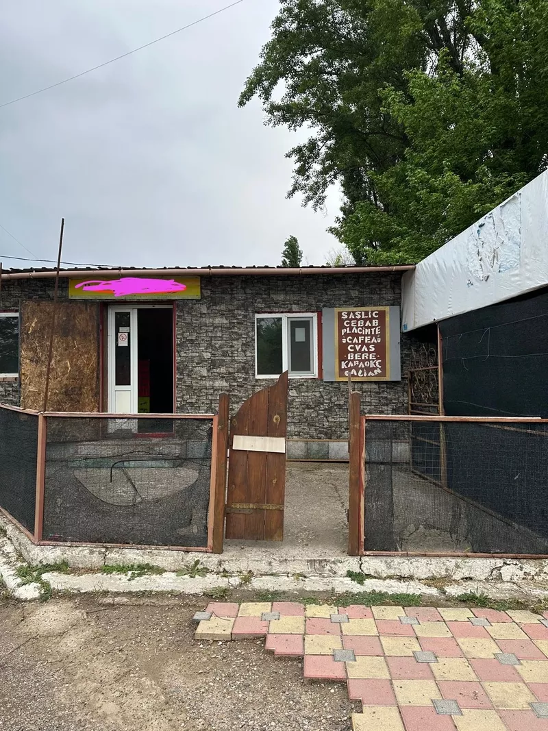 Cafe,  bar,  restaurant